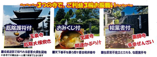 午年に詣る!「豊国神社」と厄除・開運・多幸を祈願!新春三椀めぐり【河内磐船・枚方市・JR高槻発】2